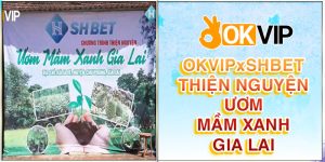 OKVIP và SHBET thiện nguyện ươm mầm xanh gia lai